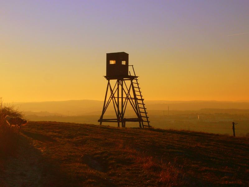 Hochstand in der Dämmerung