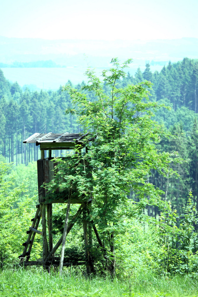 Hochstand mit Romantischem Ausblick