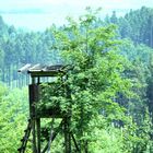 Hochstand mit Romantischem Ausblick