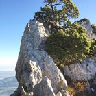 Hochstaufen, Bad Reichenhall