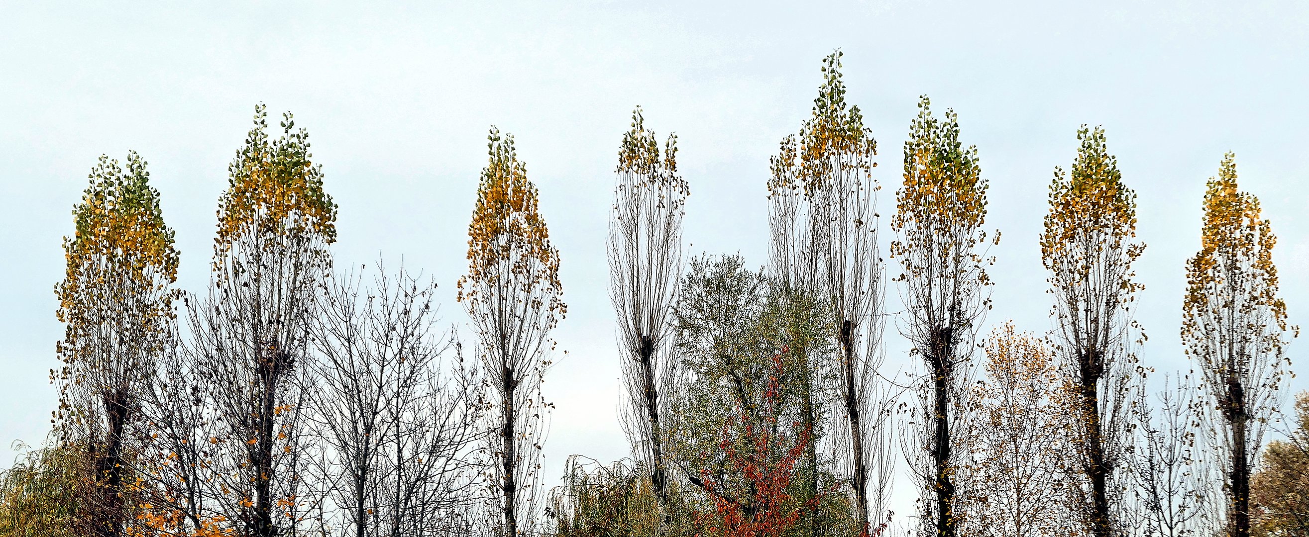 Hochsteckfrisuren