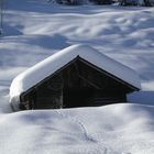 Hochsteinalm Traunkirchen Gmunden .... und der Winter hat doch seinen Reiz