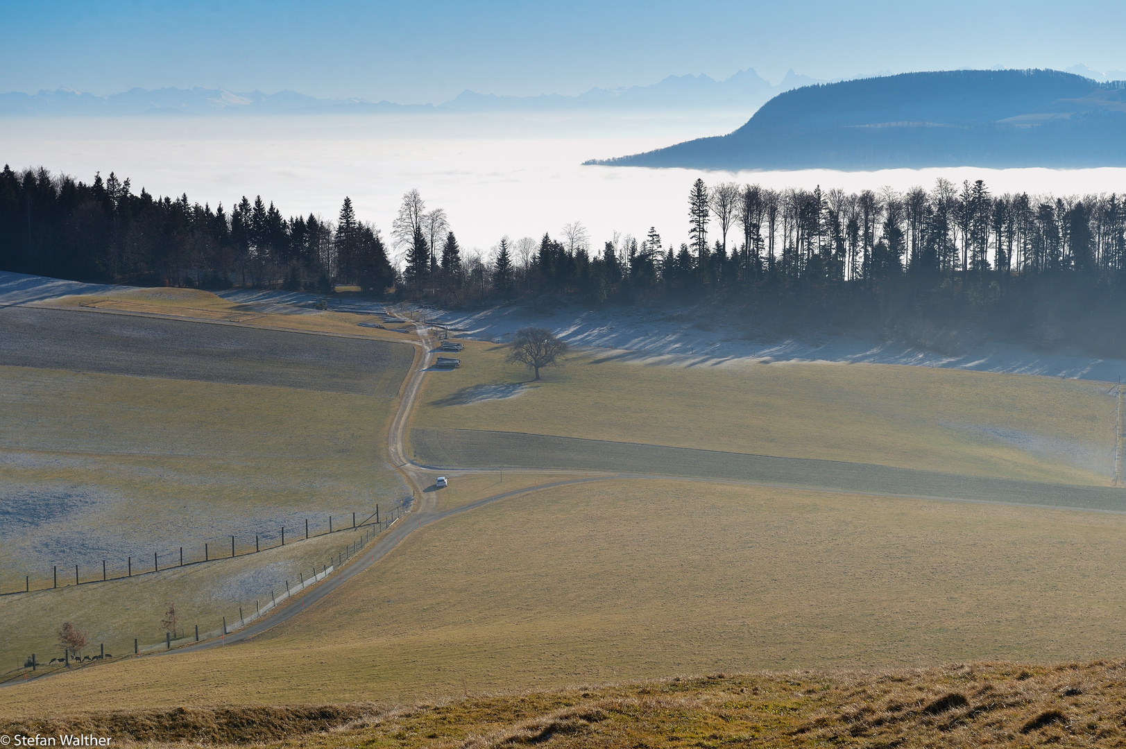 Hochstimmung am Bremgarten