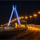 Hochstraße Ludwigshafen - Blick auf die Pylon-Brücke II