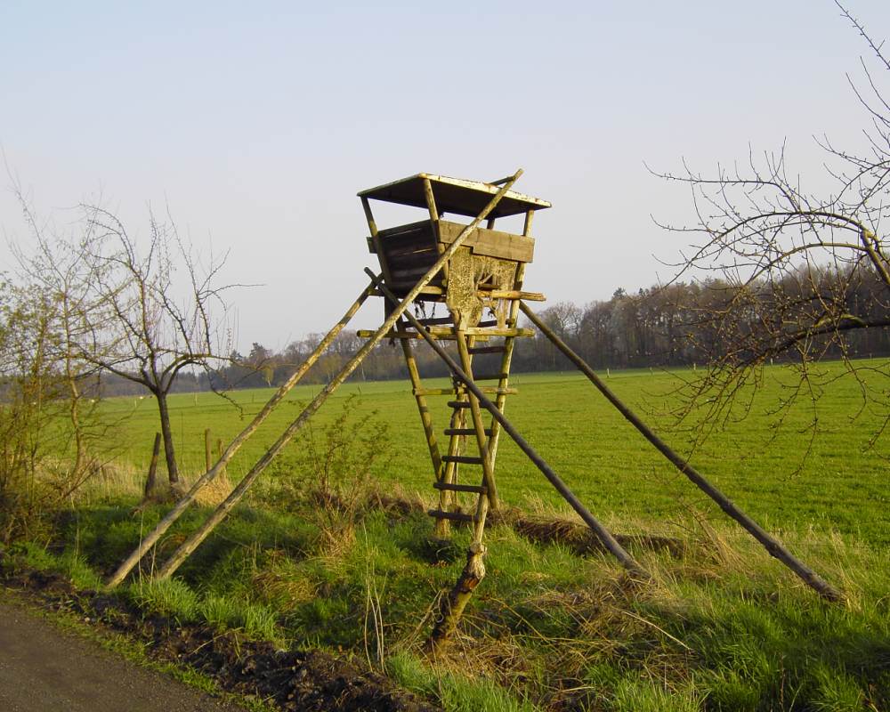 Hochstuhl Fur Erwachsene Foto Bild Architektur Turme Profanbauten Bilder Auf Fotocommunity