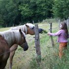 Hochtaunus-Wanderung