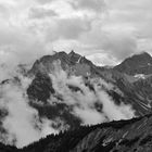 Hochvogel mit Nachbarn