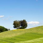 Hochwacht bei Klingenzell im Frühling