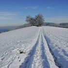 Hochwacht Kt.Thurgau