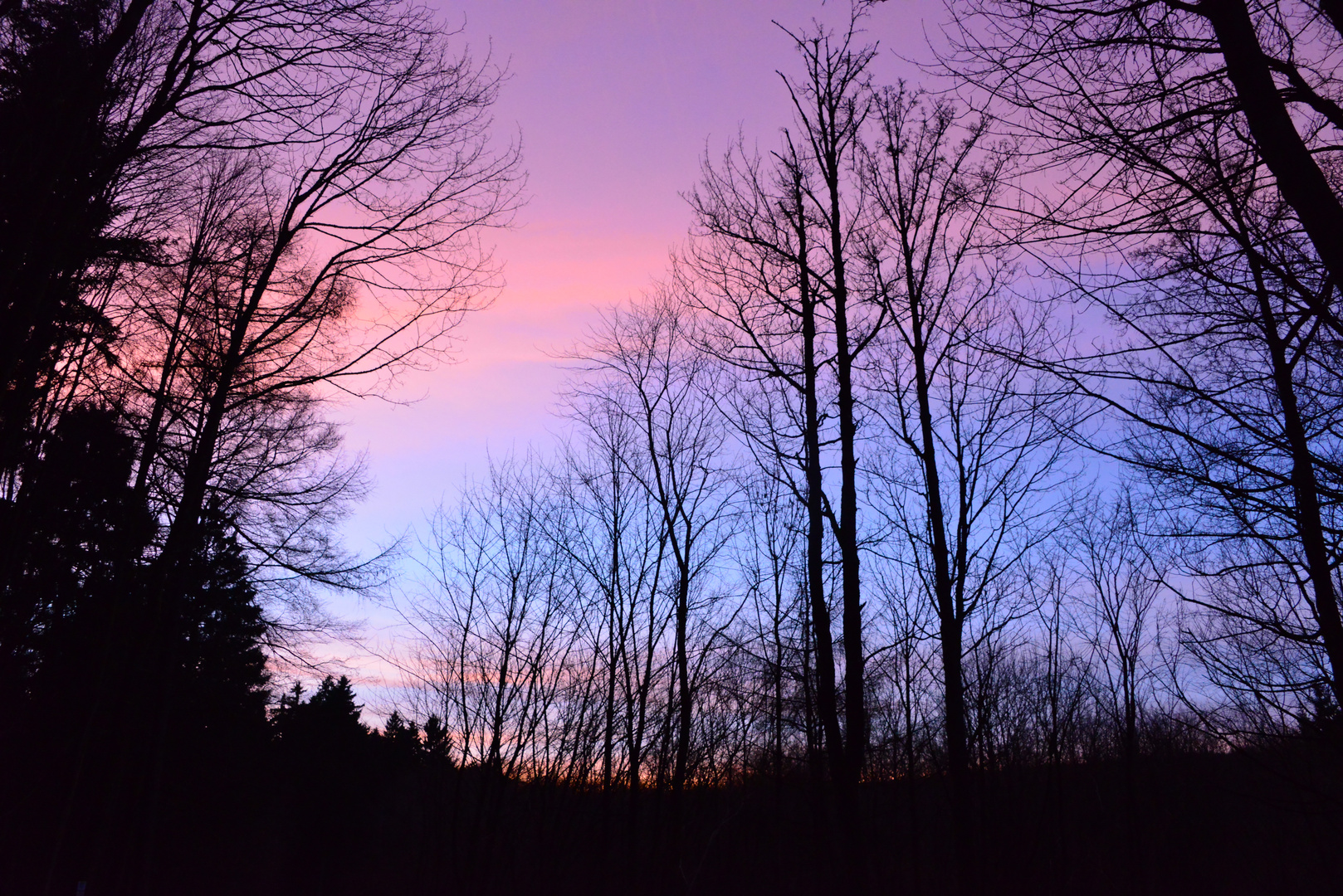 Hochwald Abendstimmung