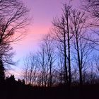 Hochwald Abendstimmung