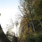 Hochwald an Steilküste, Herbst