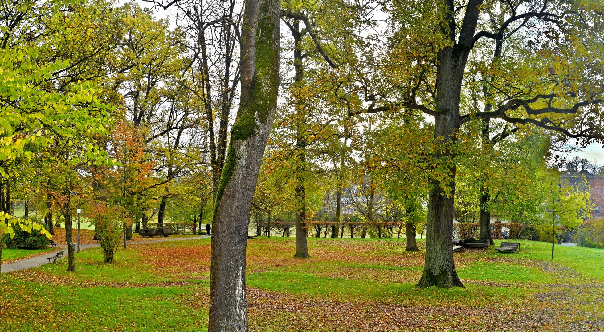 Hochwald