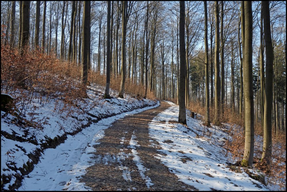 Hochwald