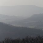 Hochwald im Dunst