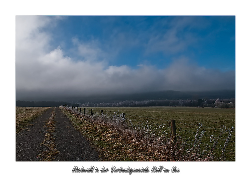 Hochwald in der Verbandsgemeinde ....