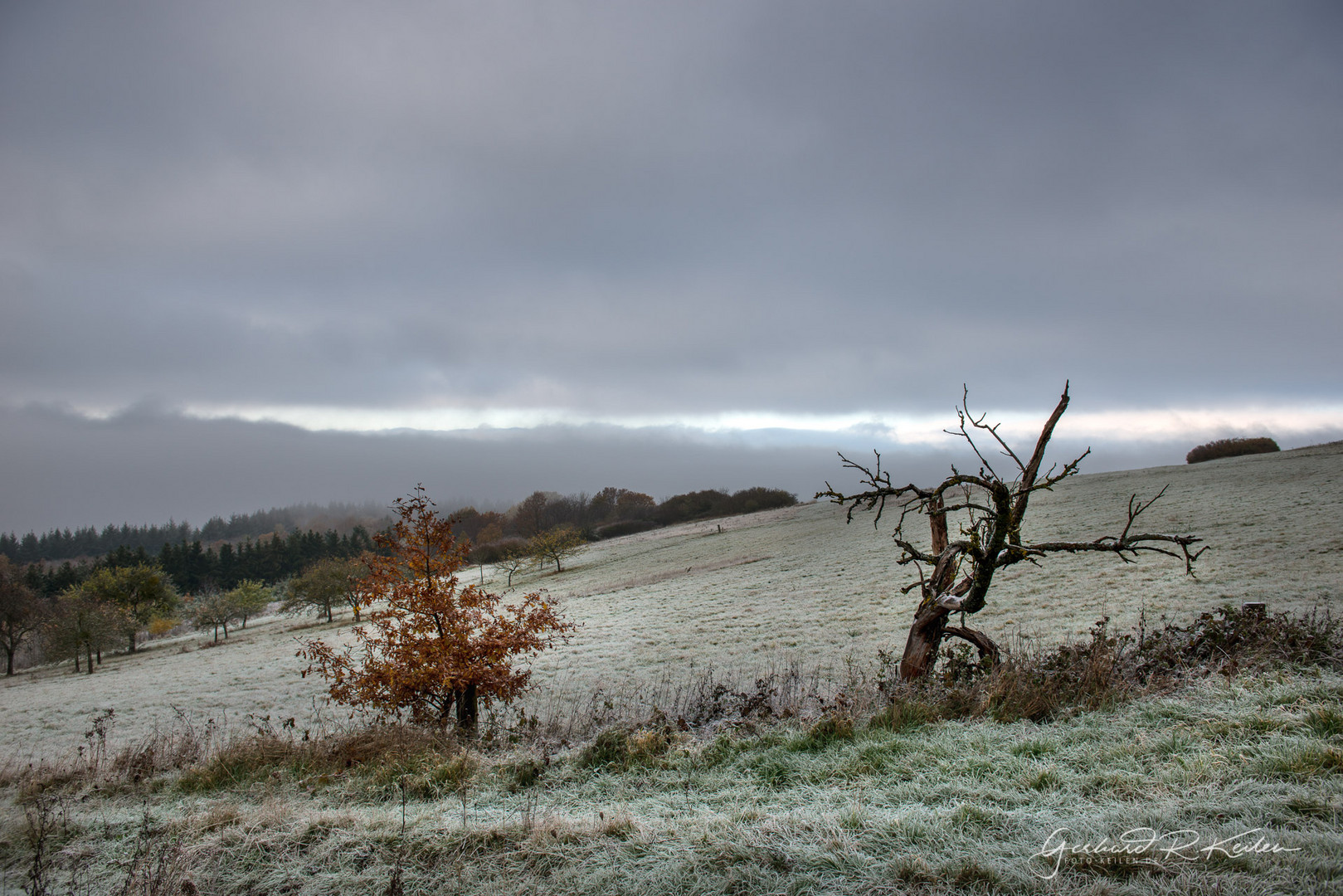 Hochwald Nobember Blues