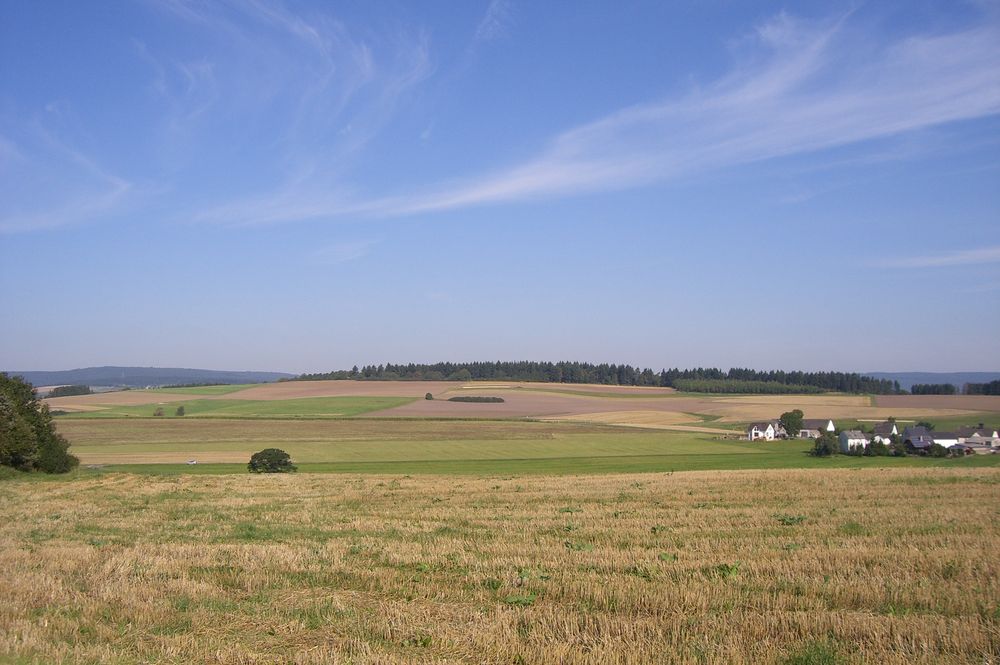 Hochwald Traum am Morgen