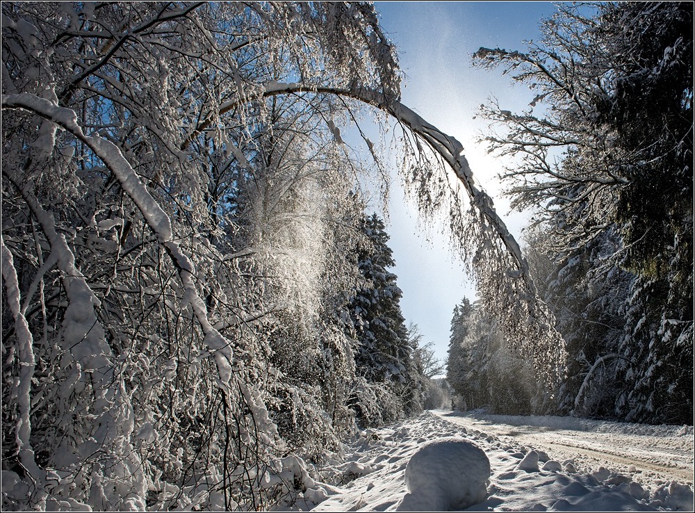 Hochwald Winter 2015