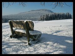 Hochwaldblick