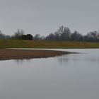 Hochwaser am Rhein bei Iffezheim