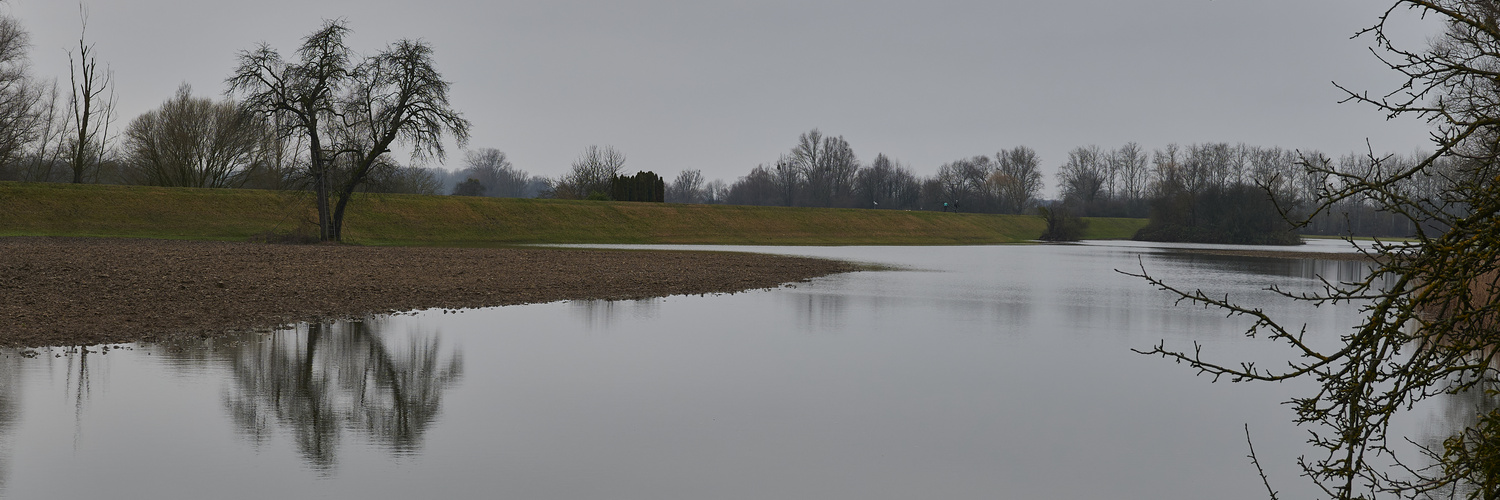 Hochwaser am Rhein bei Iffezheim