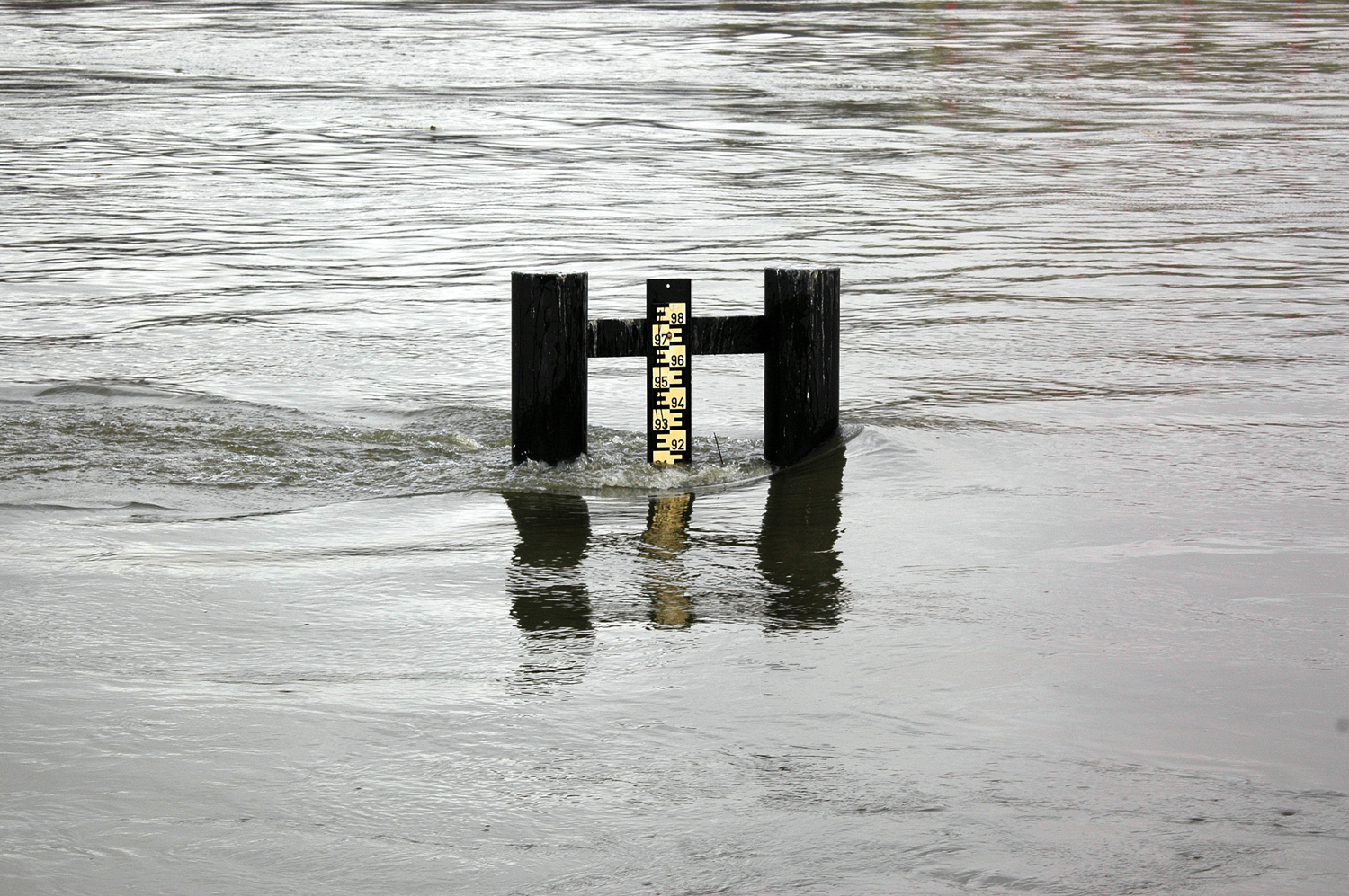 Hochwaser - Pegelstand der Elbe in Hohnstorf am 23.01.2011