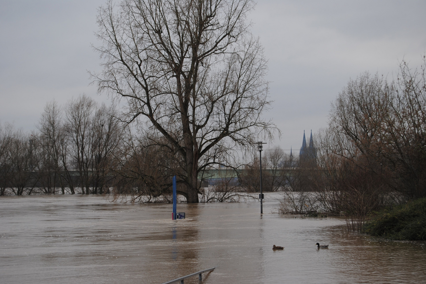 Hochwasser 01.2018 