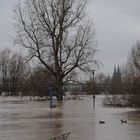 Hochwasser 01.2018 