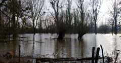 Hochwasser