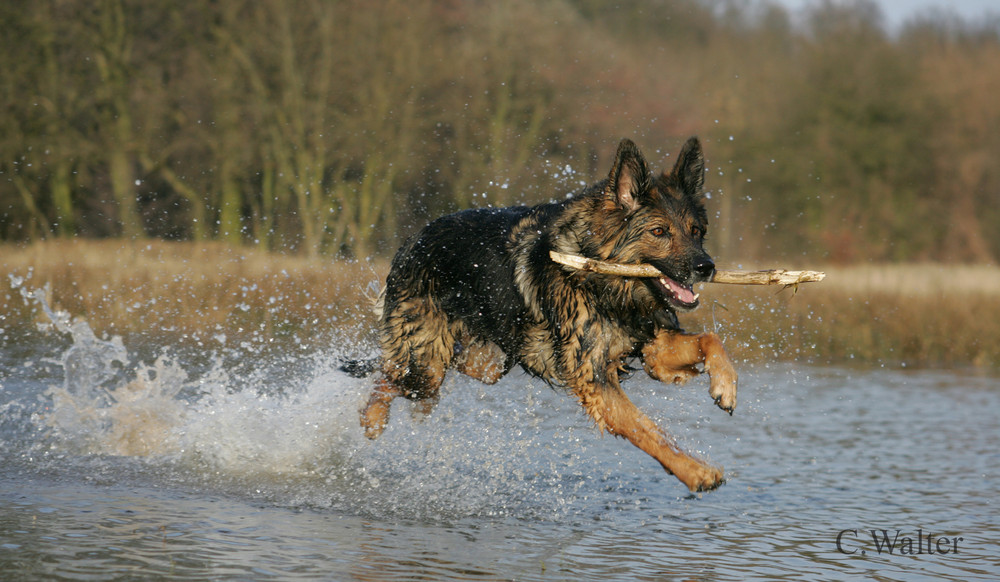 Hochwasser