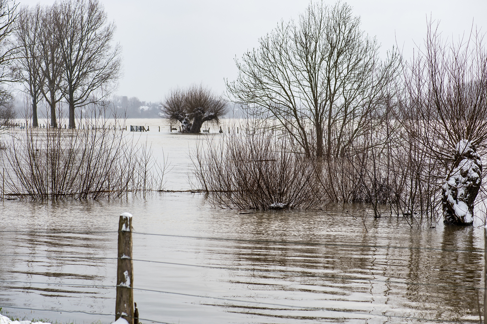 Hochwasser 09.02.2021   .120_4425