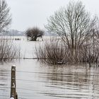 Hochwasser 09.02.2021   .120_4425