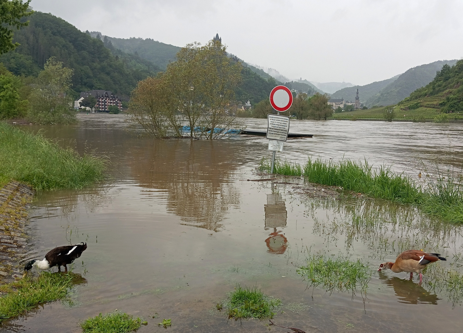 Hochwasser 