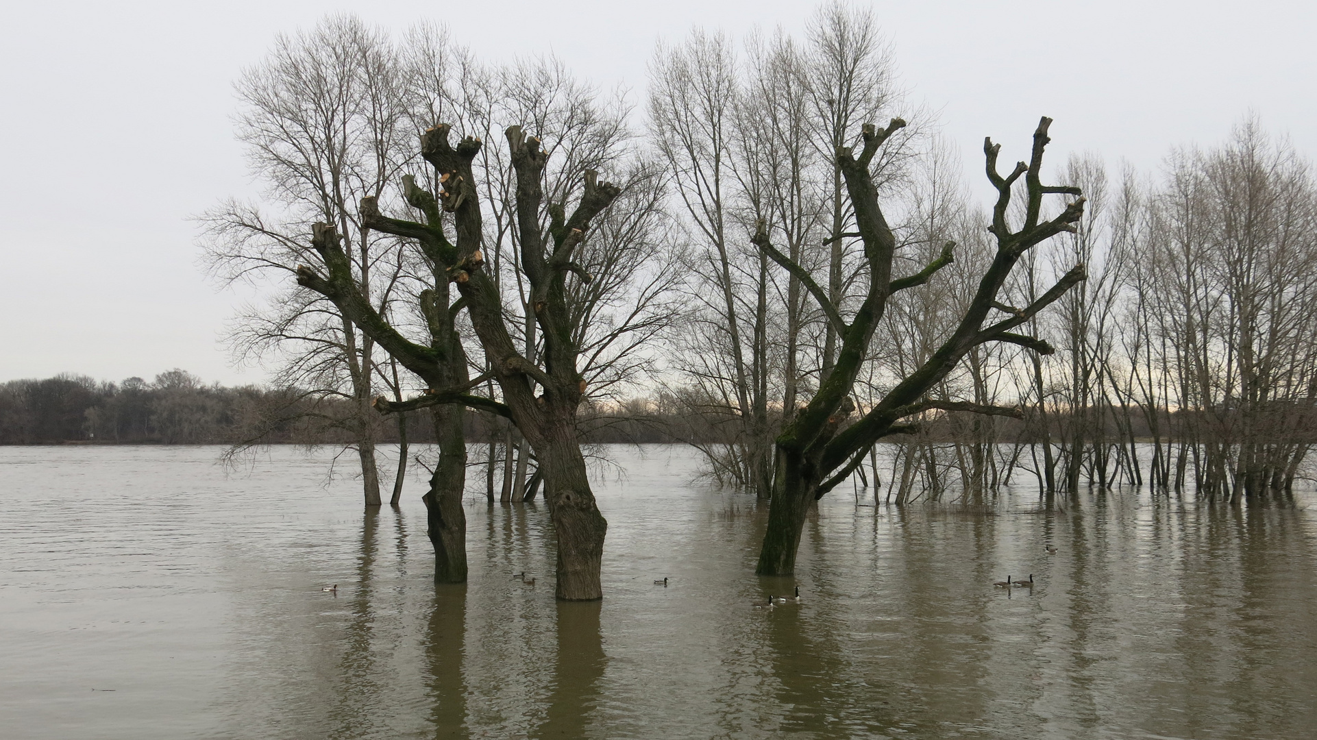 Hochwasser 1