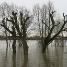 Hochwasser 1