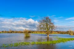 Hochwasser 1