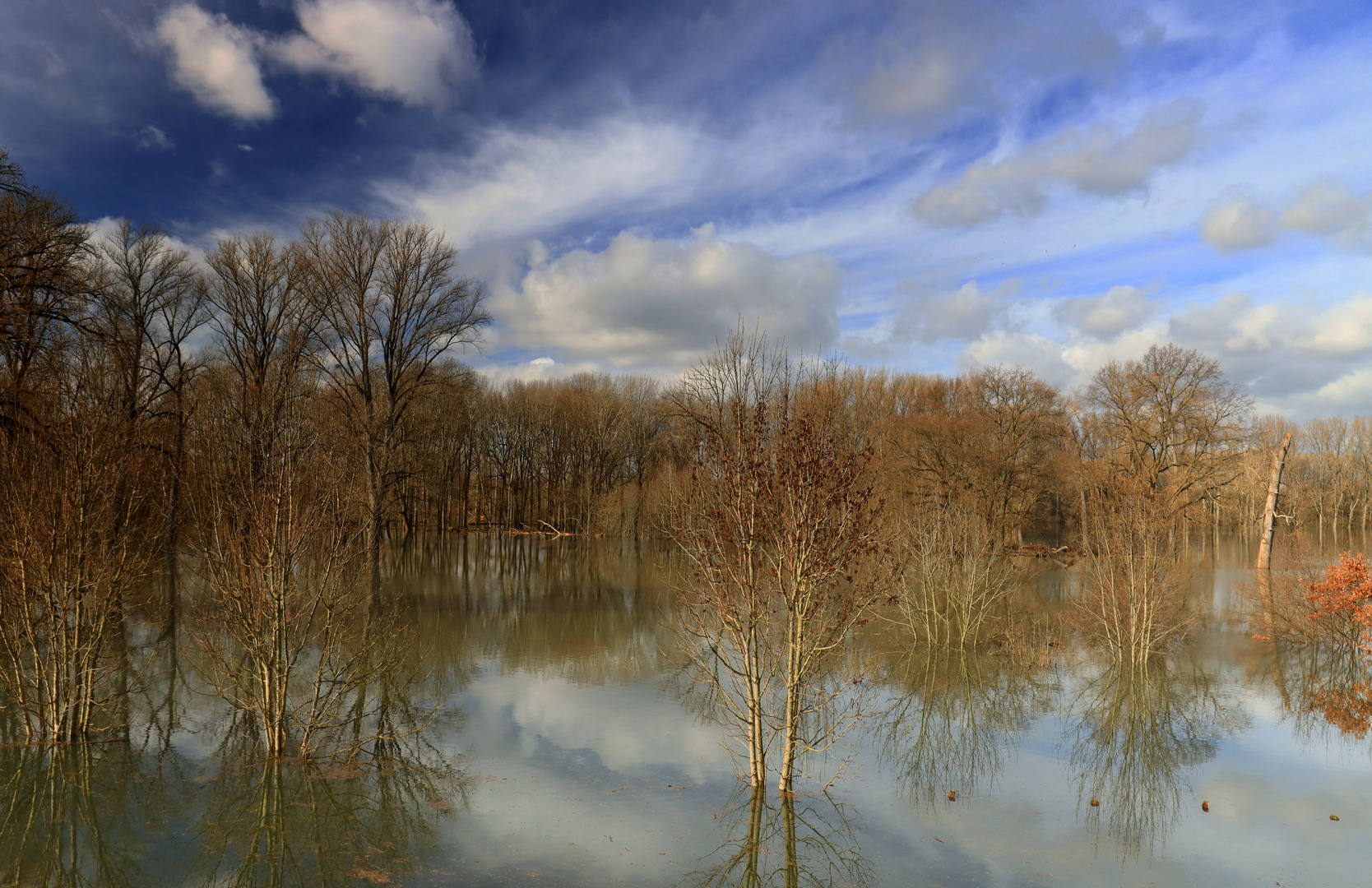 Hochwasser (10)