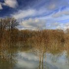 Hochwasser (10)