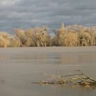 Hochwasser 