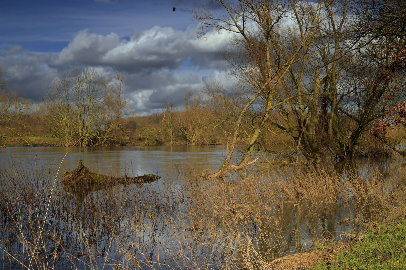 Hochwasser (11)