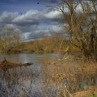 Hochwasser (11)