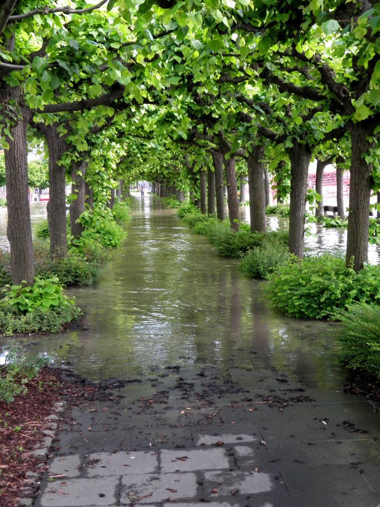 Hochwasser 11