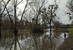 Hochwasser 1.11.2