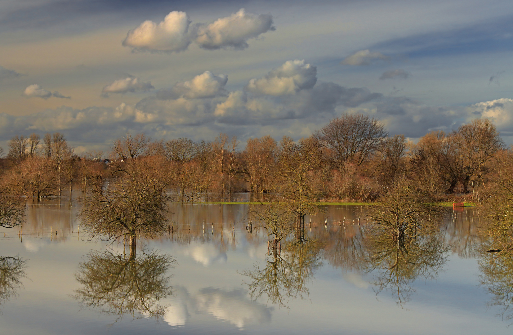 Hochwasser (12)