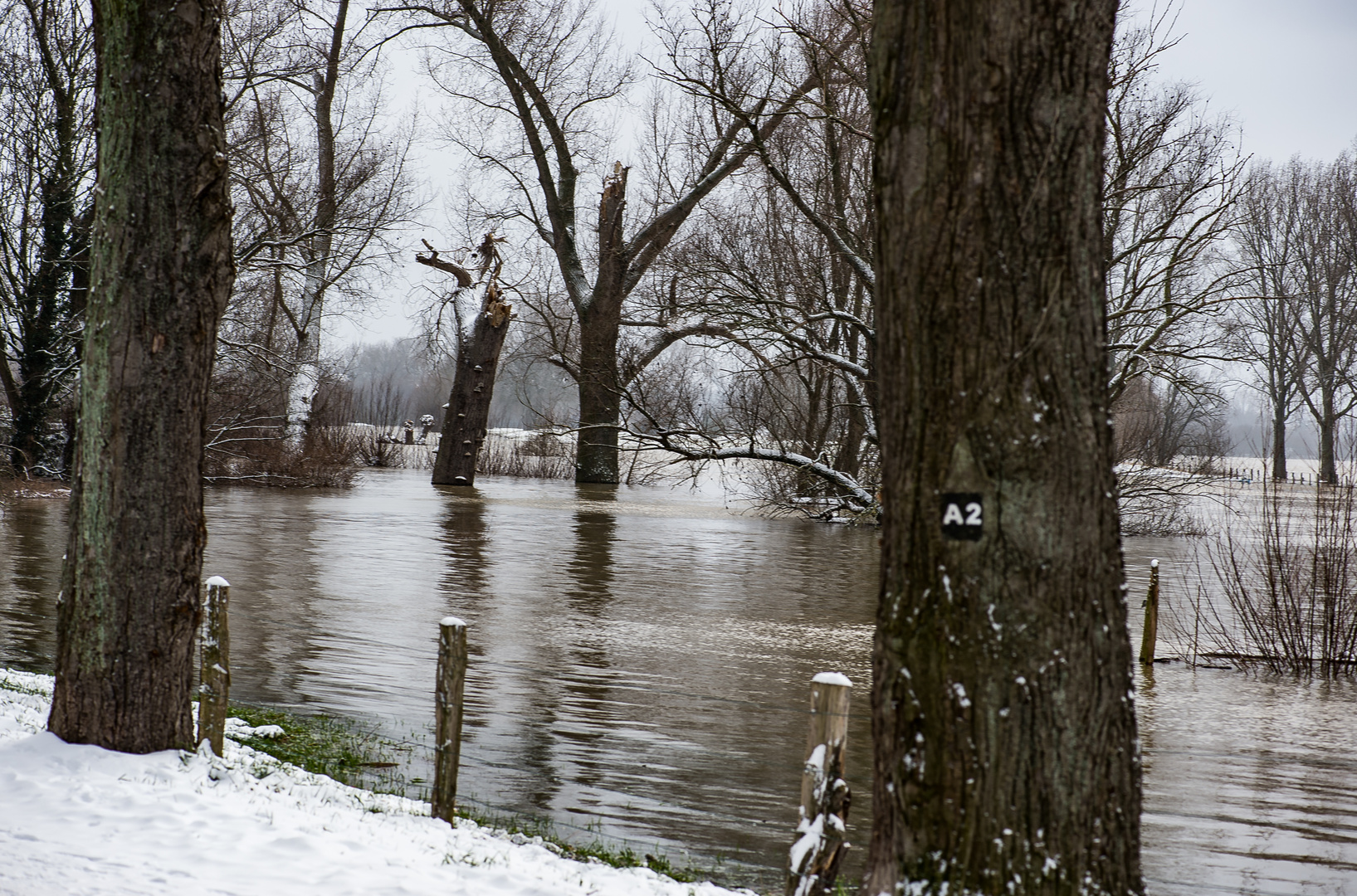 Hochwasser                  ..120_4426