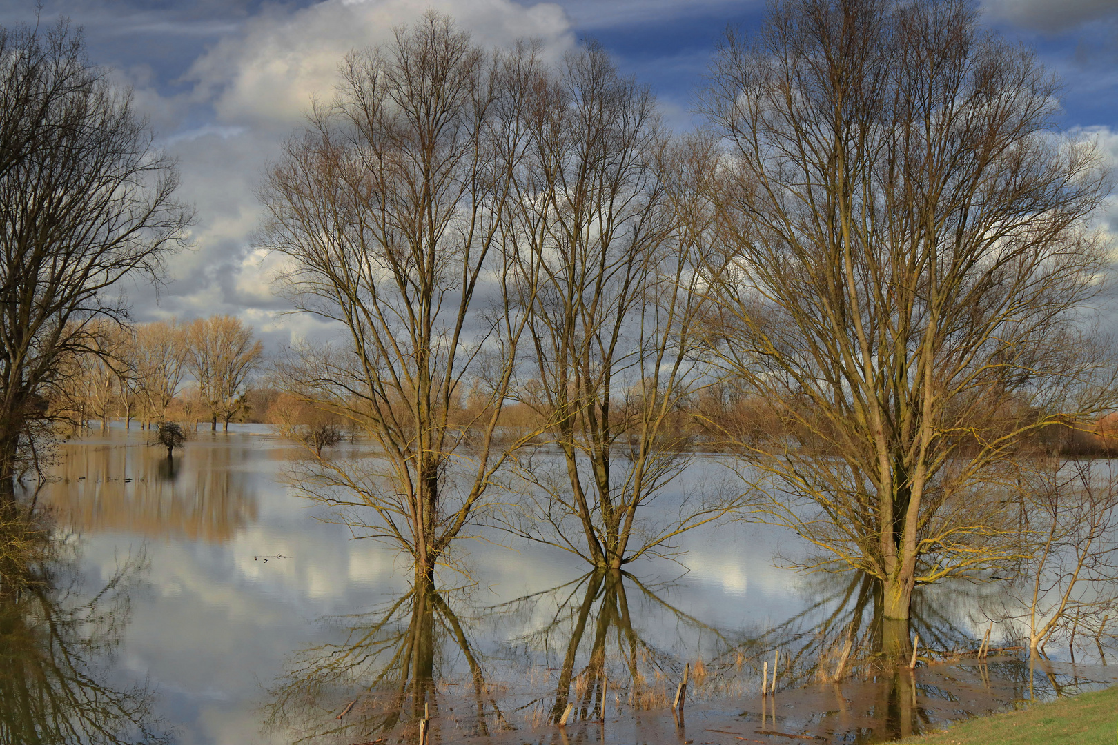 Hochwasser (13)