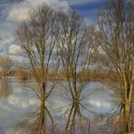 Hochwasser (13)