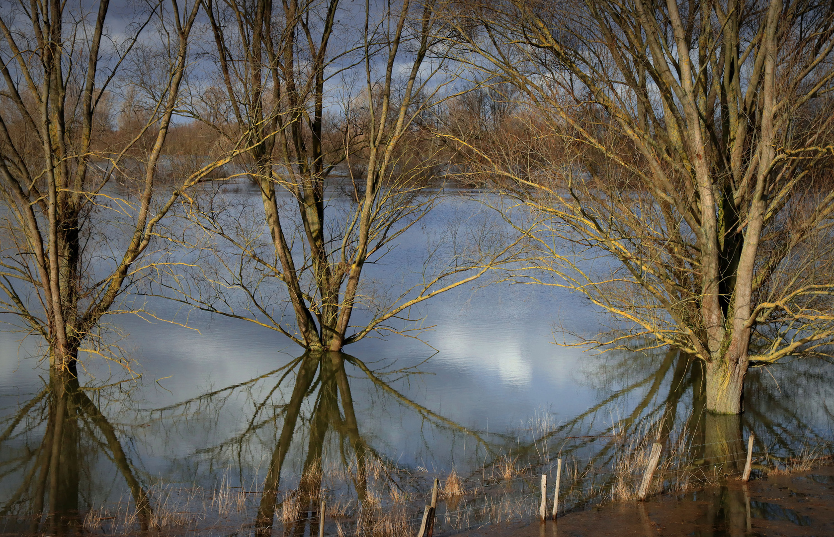 Hochwasser (14)