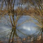 Hochwasser (14)